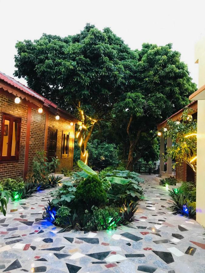 Tam Coc Thai Duong Homestay ニンビン エクステリア 写真